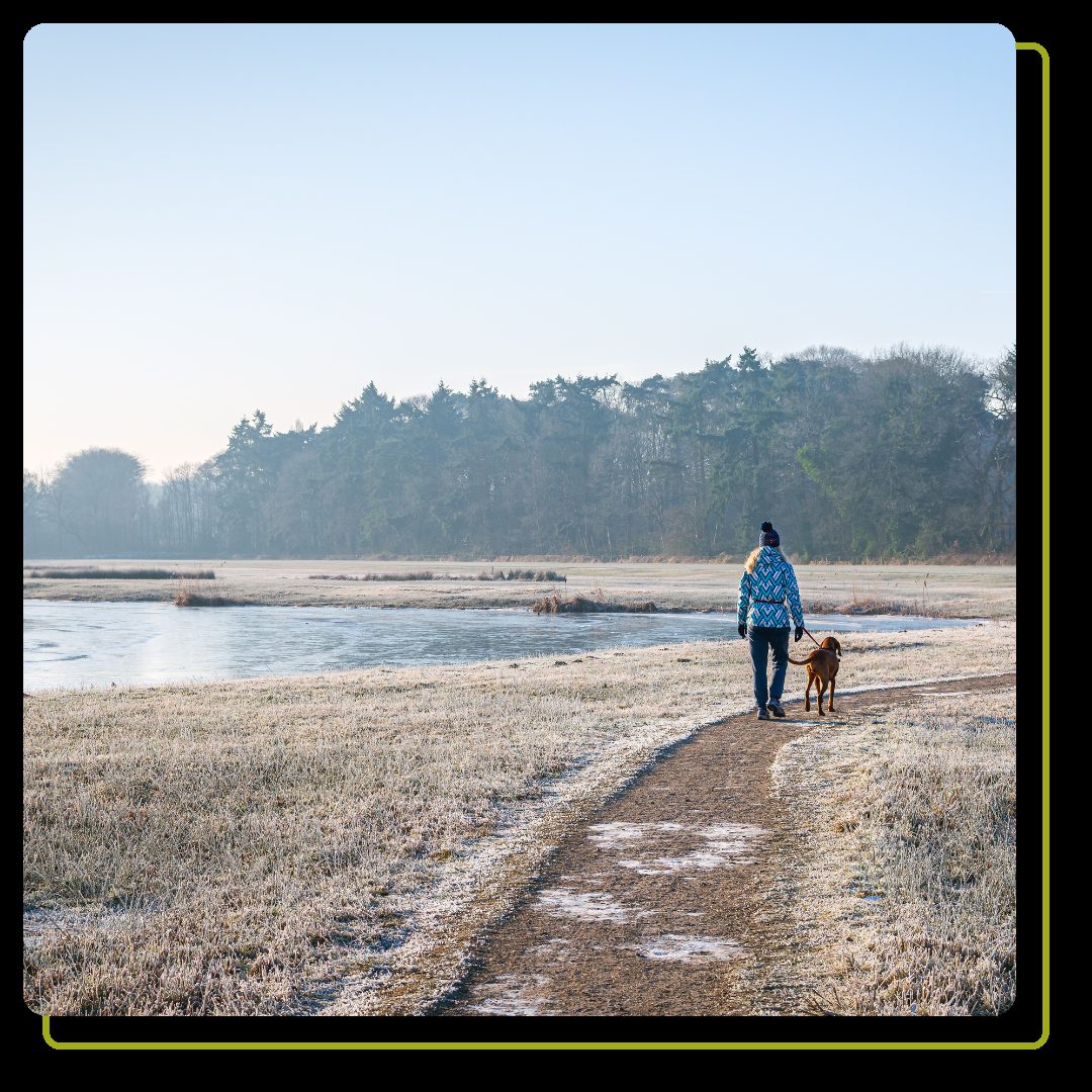 Walking the dog in wintertime