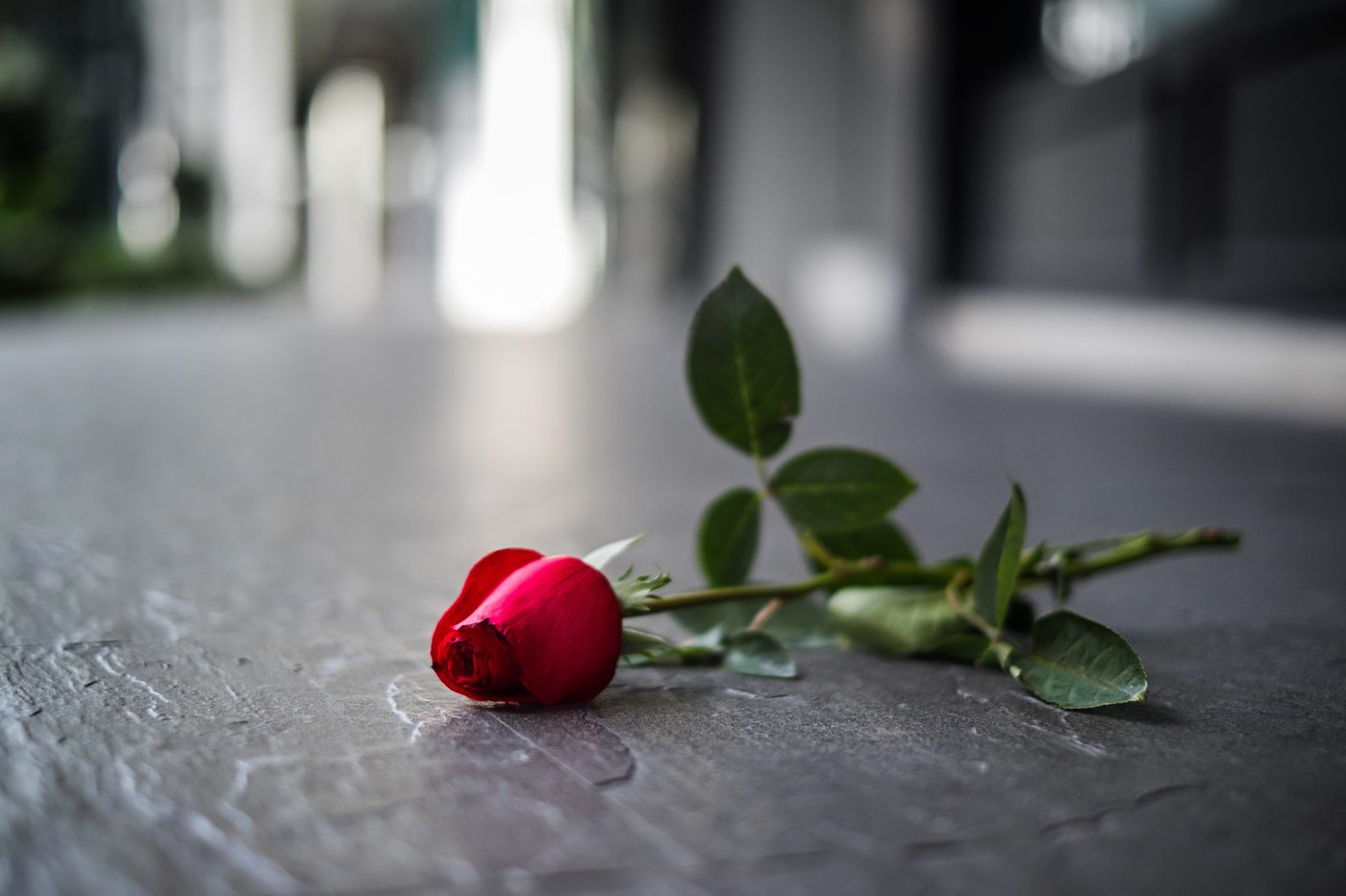 TherapyNYC | When It All Falls Apart: Trauma's Impact on Intimate Relationships
