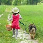 Little girl with dog walks on the road
