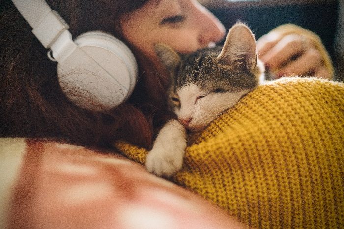 Power of Pets in Therapy