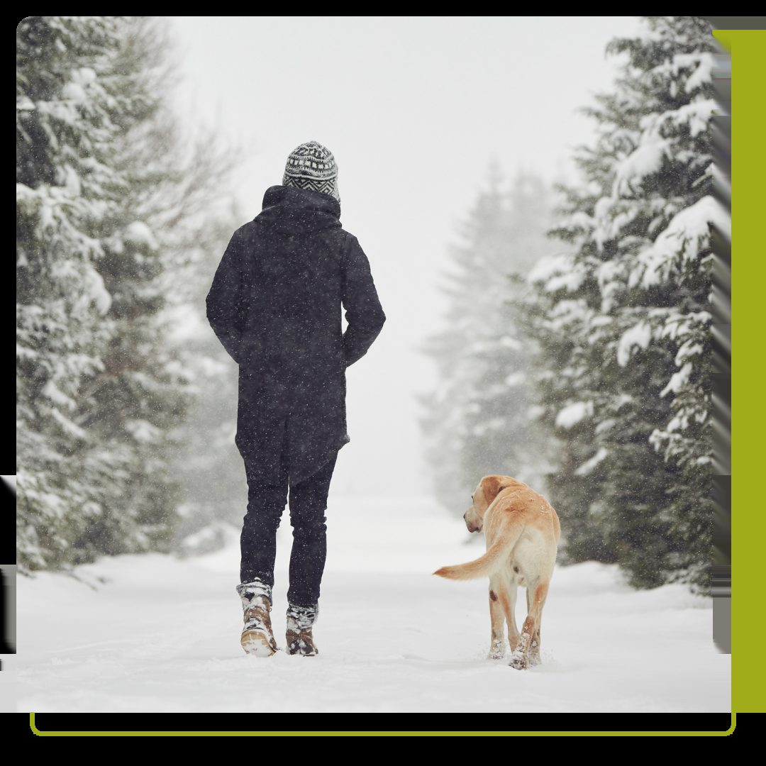 Person and yellow lab walking in the snow