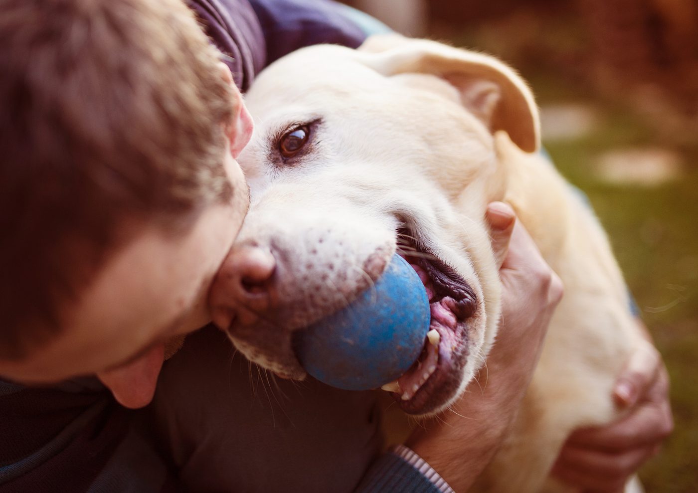 TherapyNYC | Hug your pet