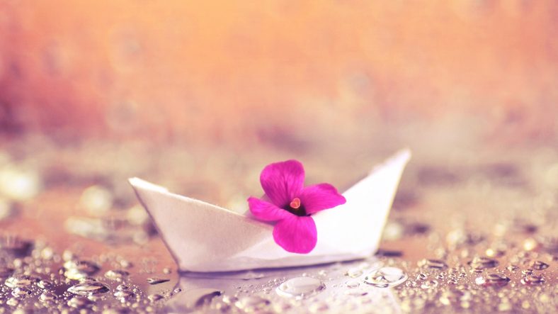 Small fuchsia flower in white paper boat rests on shore of stream
