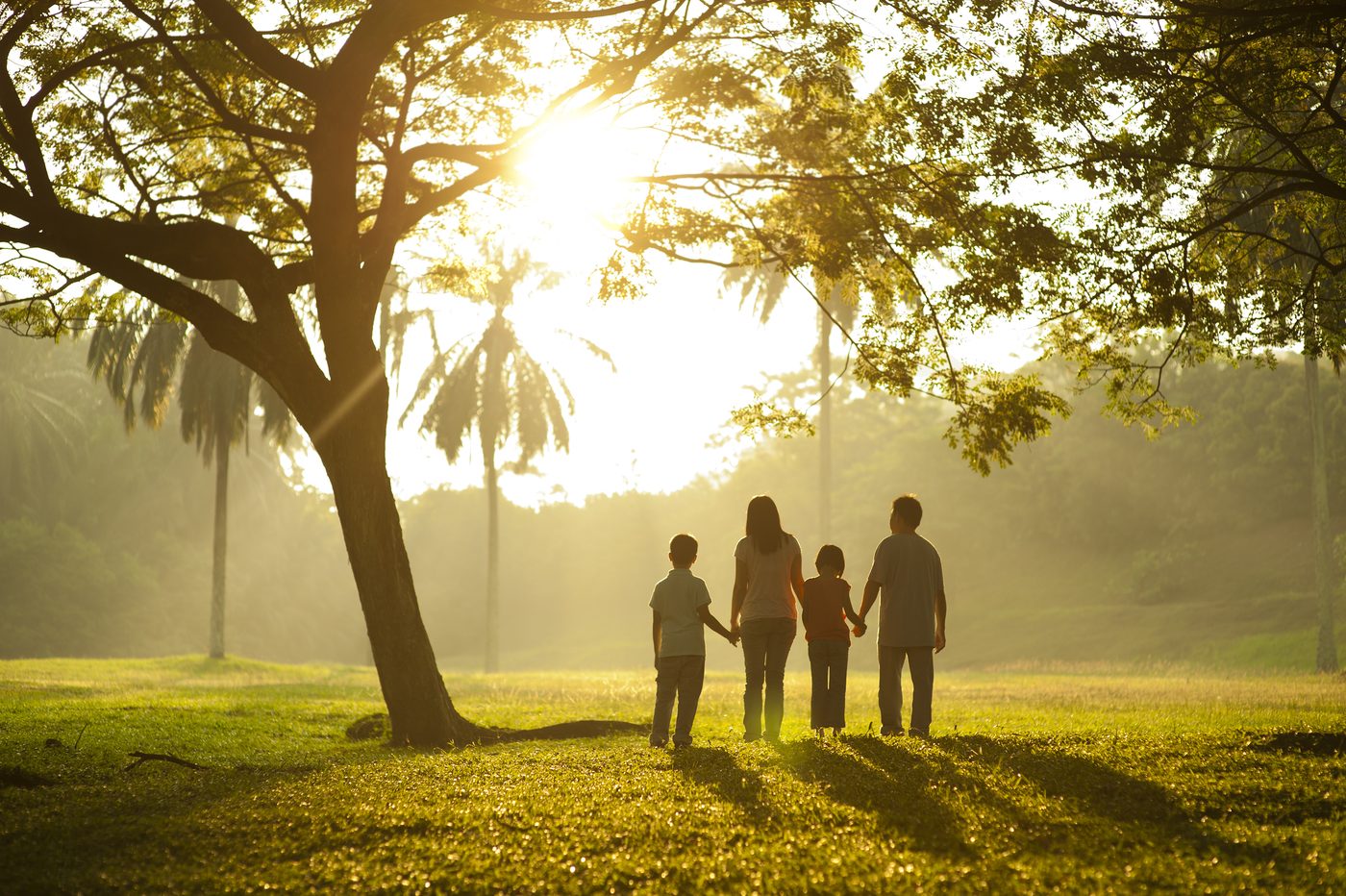 family-holding-hands-in-the-park