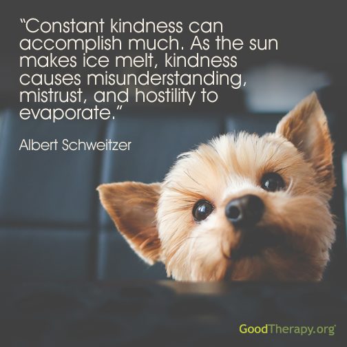 "Constant kindness can accomplish much. As the sun makes ice melt, kindness causes misunderstanding, mistrust, and hostility to evaporate." -Albert Schweitzer
