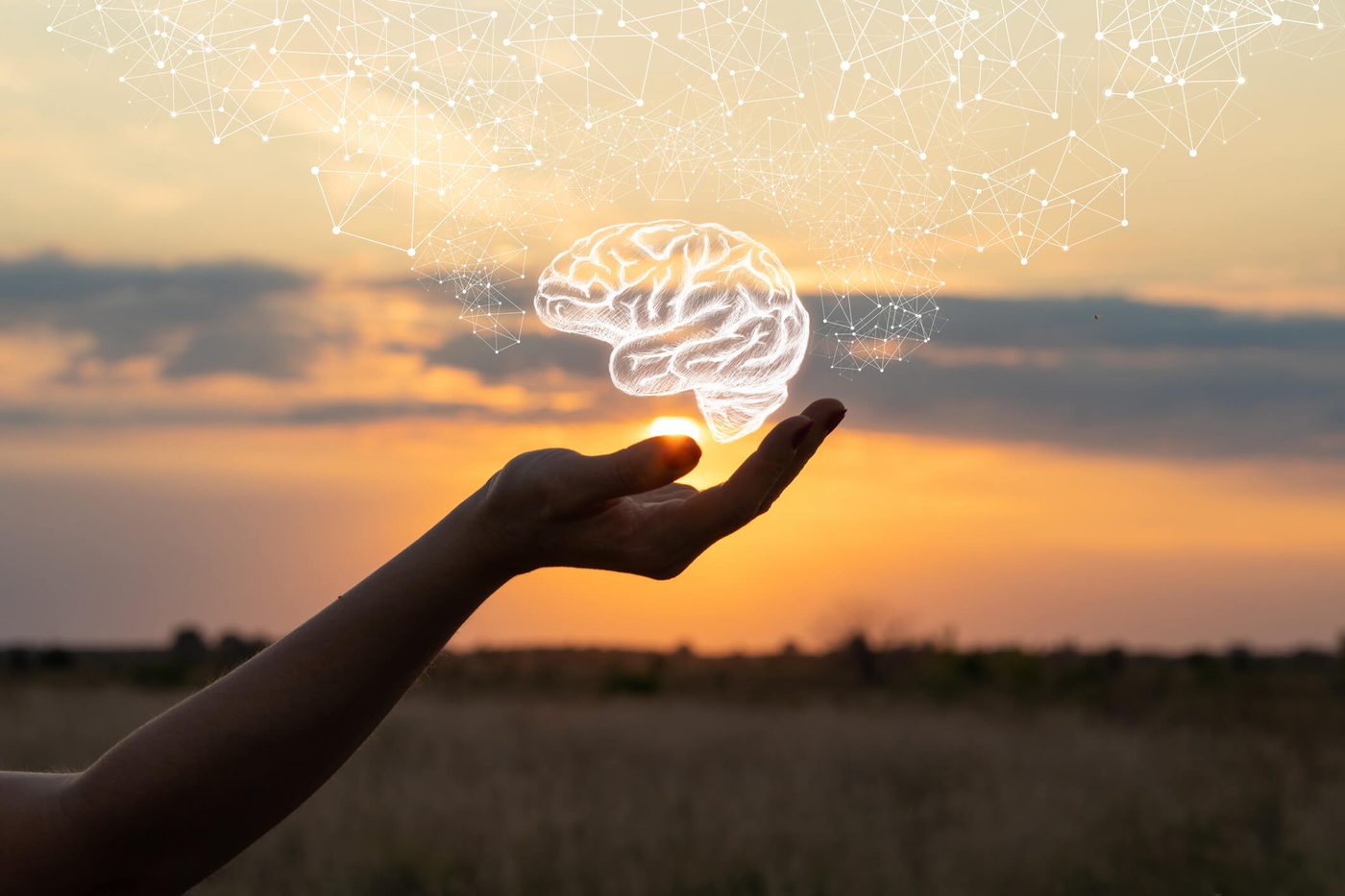 TherapyNYC | 7 Habits for Good Brain Health