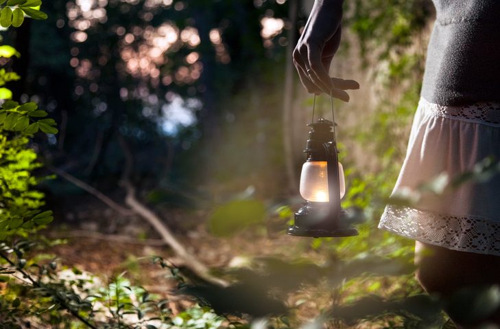 Cropped view of arm and skirt of person who is holding a lit lantern to walk through a dim forest