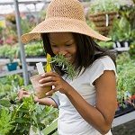 woman shopping in garden nursery