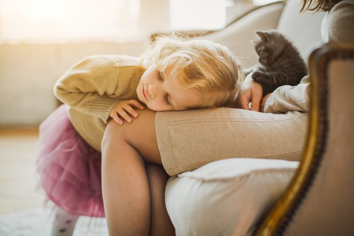 Calm child leaning on lap of parent with kitten