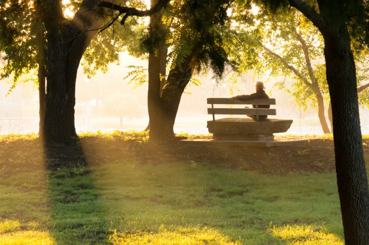 person sits on park bench under trees