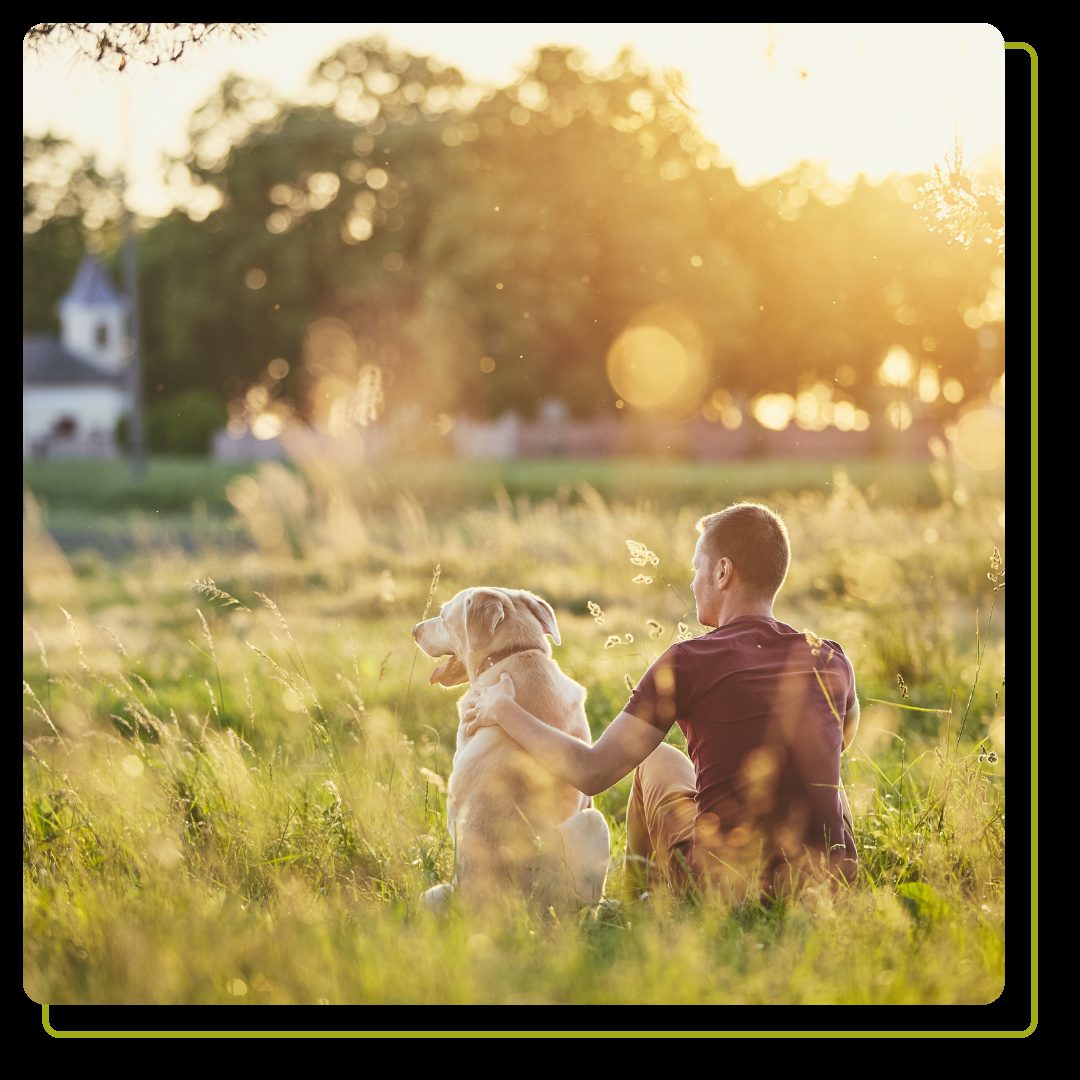 Man with his dog at sunset
