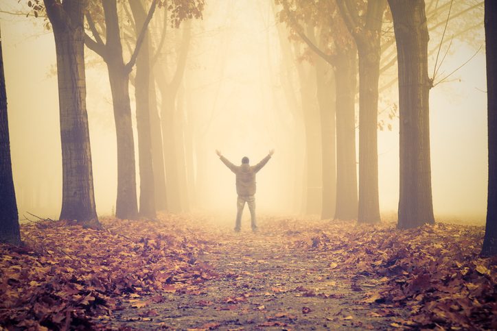 Rear view of person on leaf-strewn forest road stretching arms up to the sky