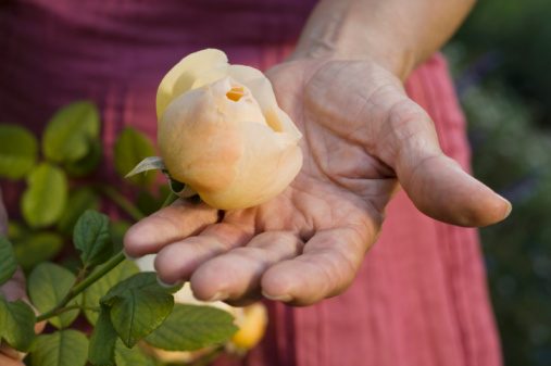 Woman holding flower