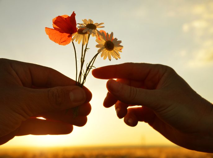 Two outstretched hands shown at sunset. One hand is full of small flowers and other hand reaches to choose one