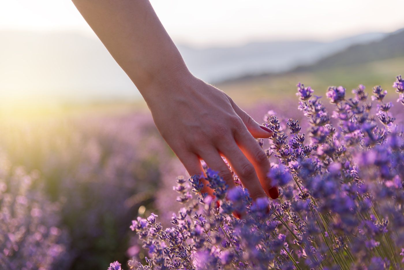 Top Ten Mindfulness Exercises