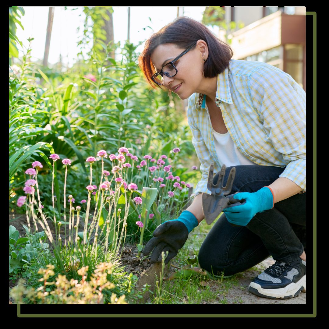 Middle aged woman working in flower bed using gardening tools.