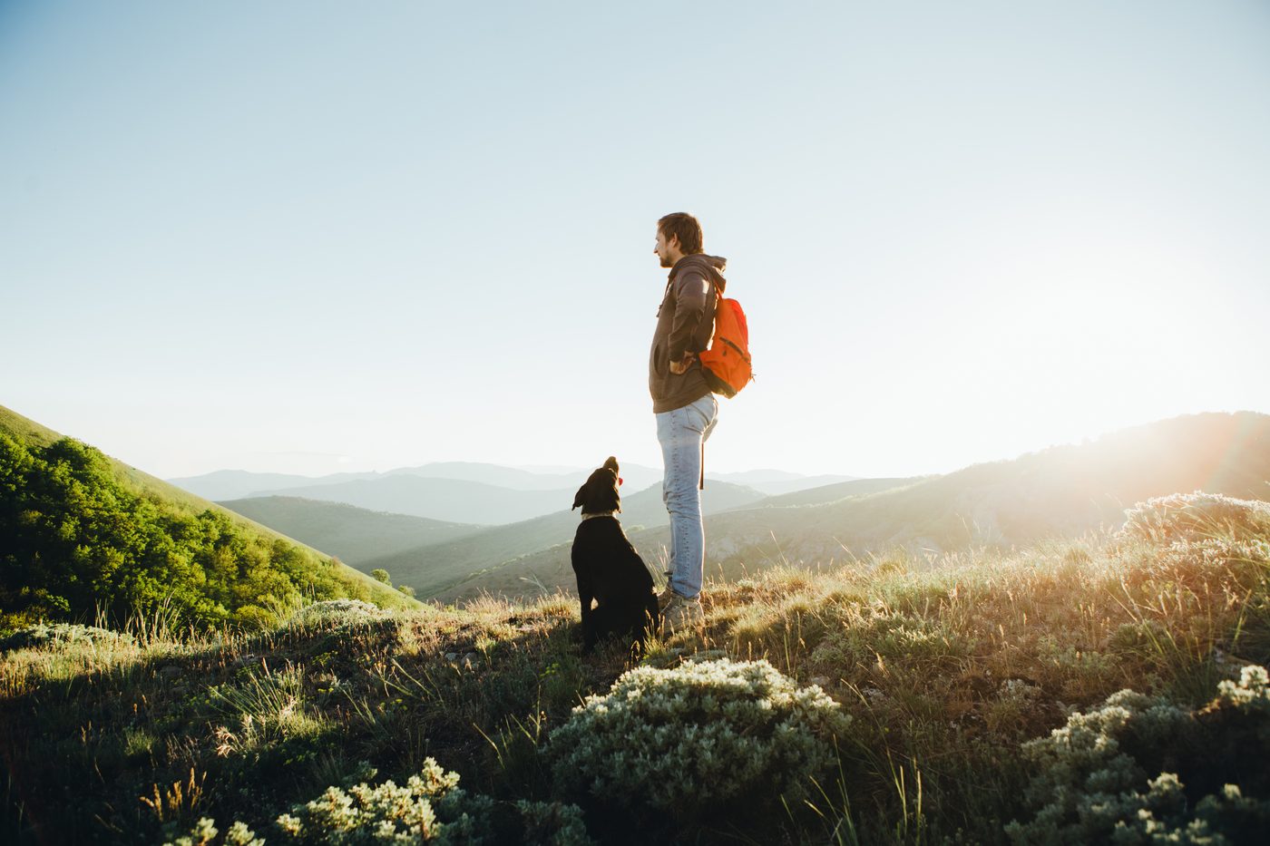 TherapyNYC | TherapyNYC Resources and Guides