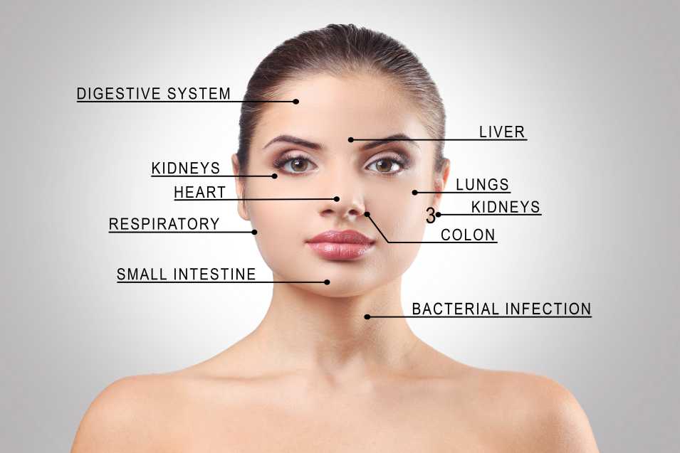 Ayurvedic Face Mapping For Acne