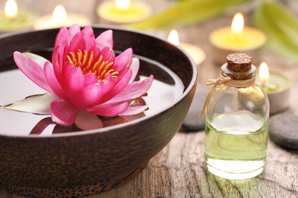 Lotus Massage Therapy Rewievs