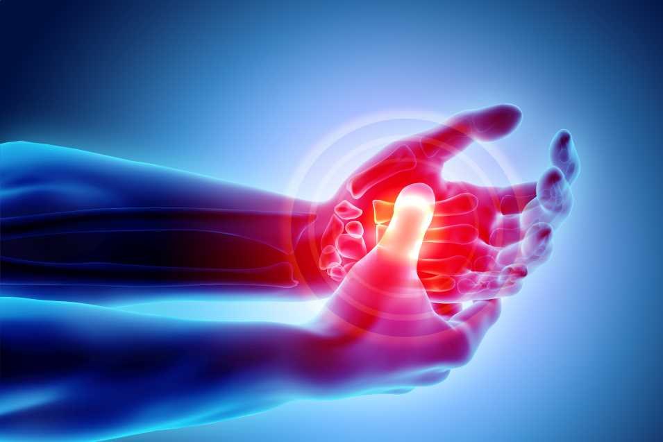 Touch of Life Physical Therapy Review