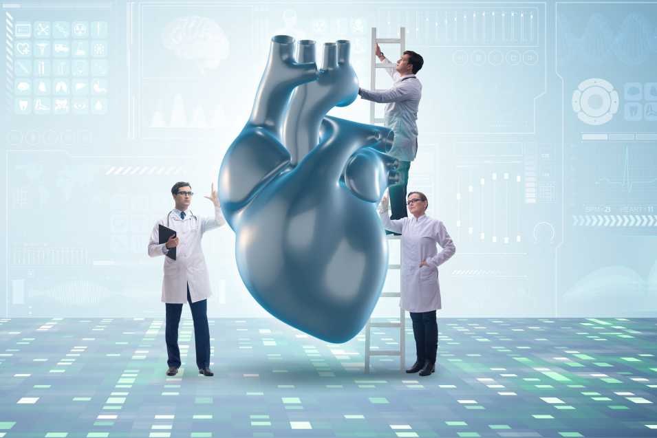 Cardiovascular Surgeon Jobs