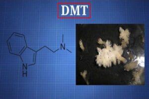 Exploring the Benefits and Risks of DMT Therapy for Mind-Body Healing