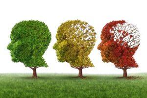 7 Stages Of Lewy Body Dementia (LBD)