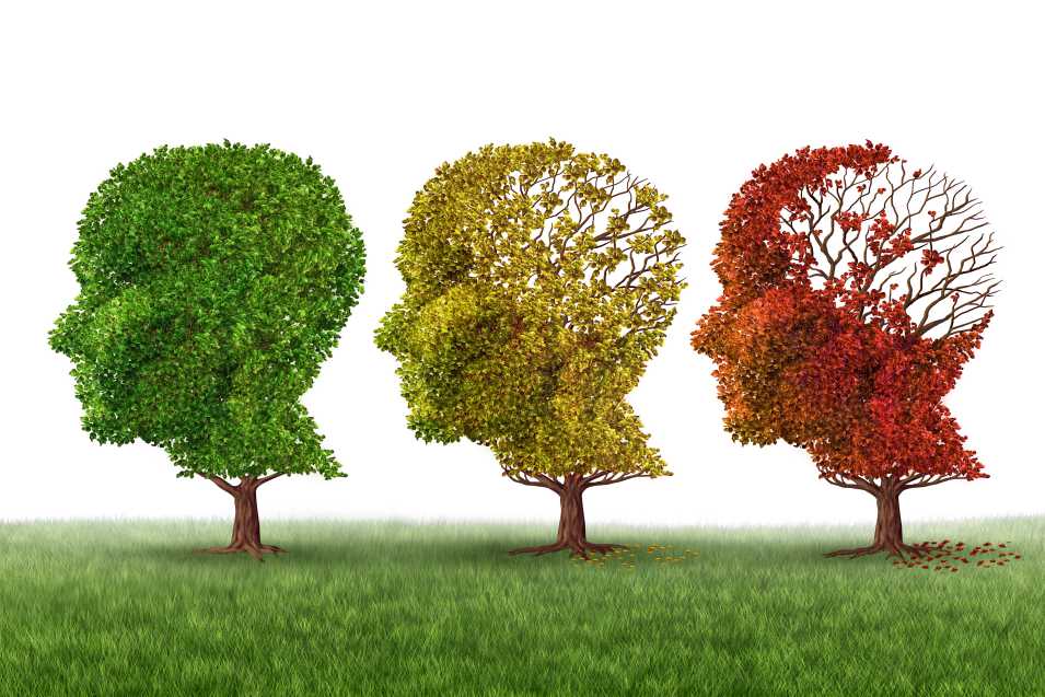 7 stages of lewy body dementia lbd