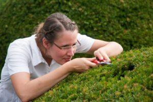 ADHD and Perfectionism